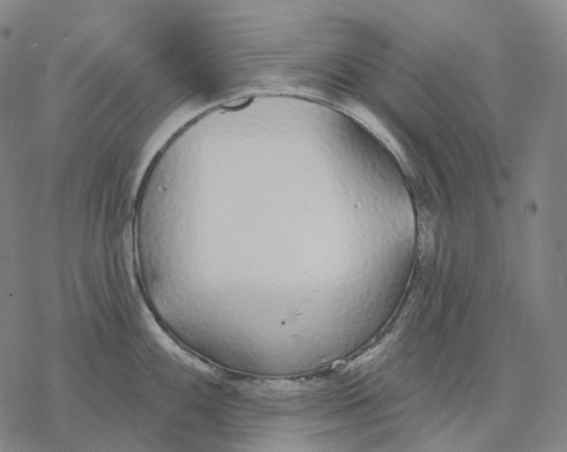 X0000076421100200610271702