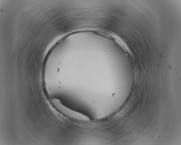 X0000076421101200610271702