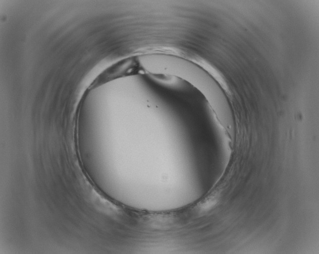 X0000076421102200610271702