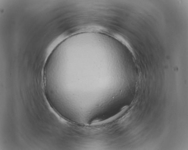 X0000076421103200610271702