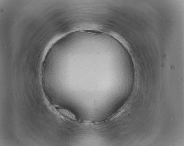 X0000076421104200610271702