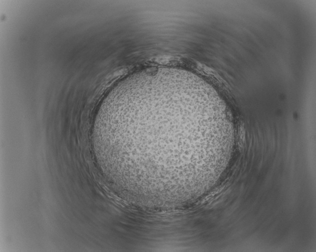 X0000076421105200610271701