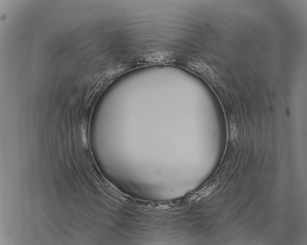 X0000076421106200610271701