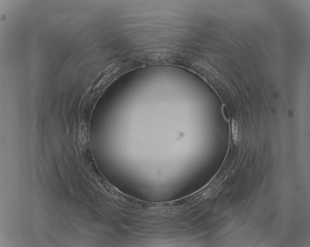 X0000076421107200610271701