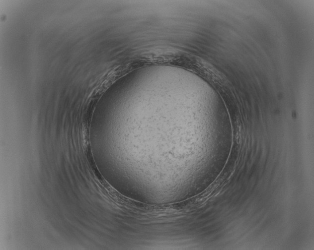 X0000076421108200610271701