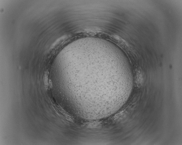 X0000076421110200610271701