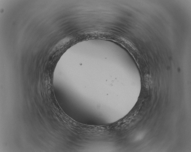 X0000076421111200610271701