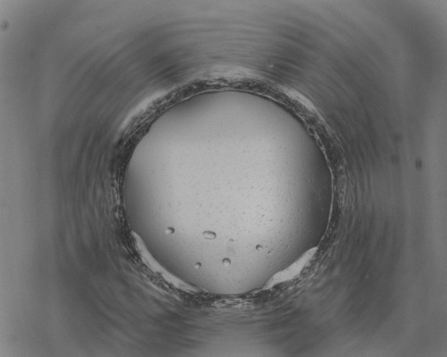 X0000076421112200610271701