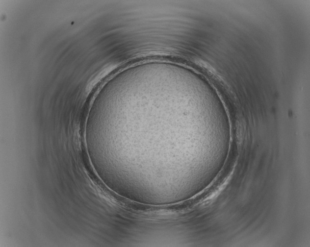 X0000076421113200610271701