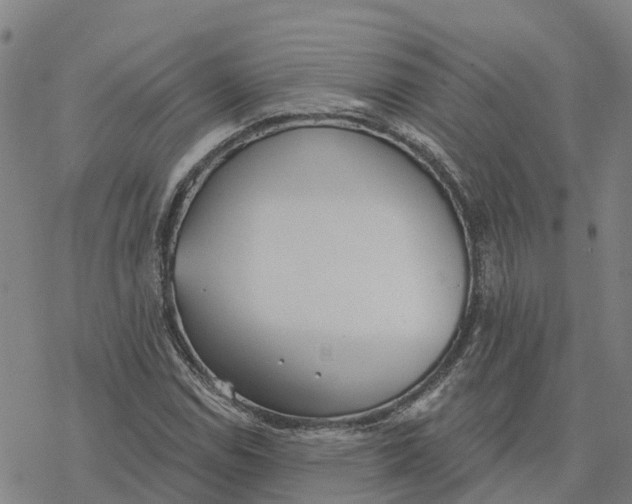 X0000076421114200610271701