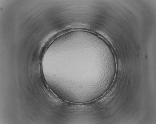 X0000076421115200610271701