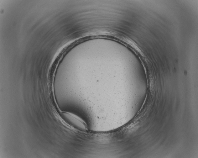 X0000076421116200610271701