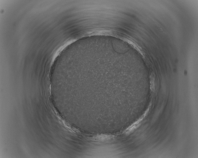 X0000076421117200610271701