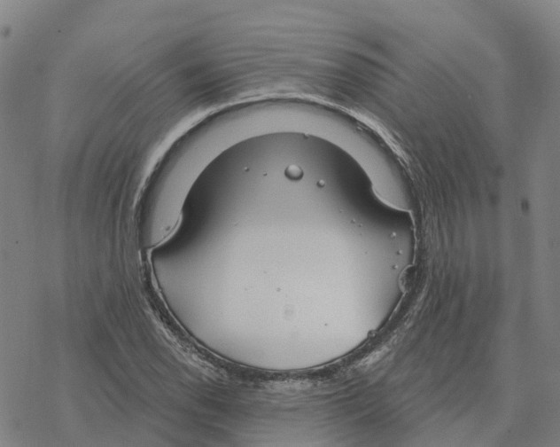 X0000076421118200610271701