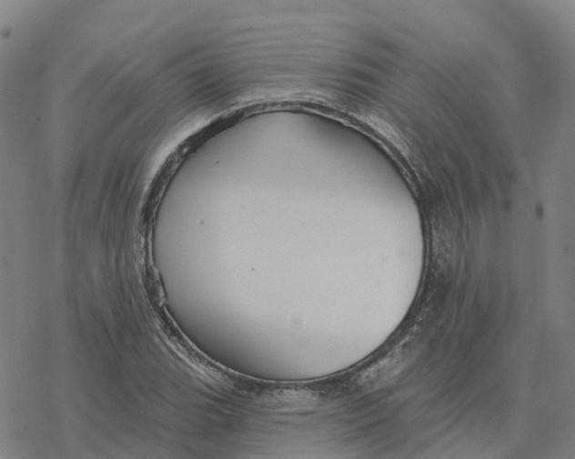 X0000076421119200610271701