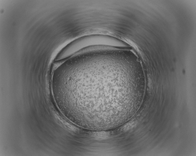 X0000076421120200610271701