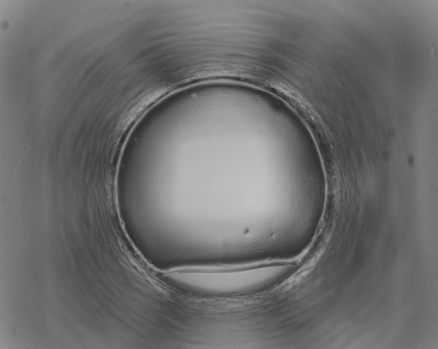 X0000076421121200610271701