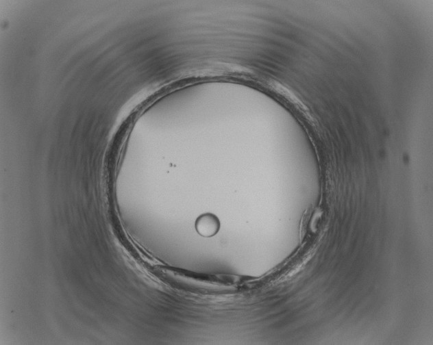 X0000076421122200610271701