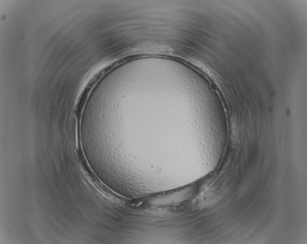 X0000076421123200610271701