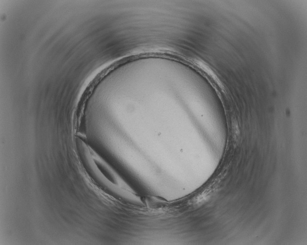 X0000076421124200610271701