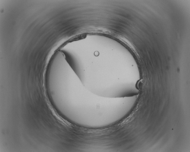 X0000076421128200610271701