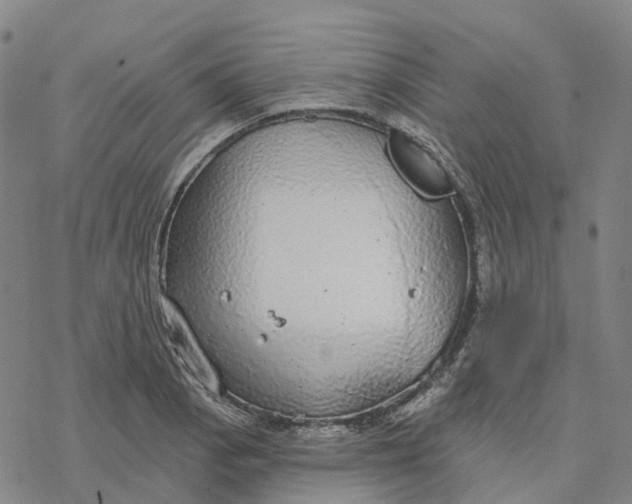 X0000076421129200610271701