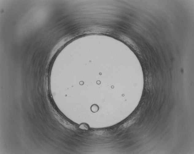 X0000076421130200610271701