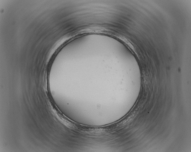 X0000076421131200610271701