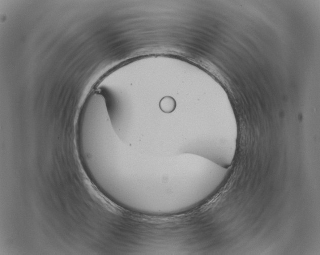 X0000076421132200610271701