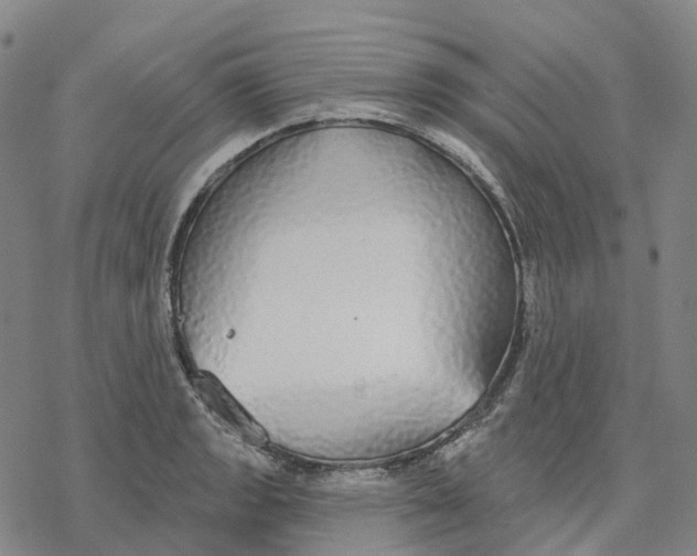 X0000076421133200610271701