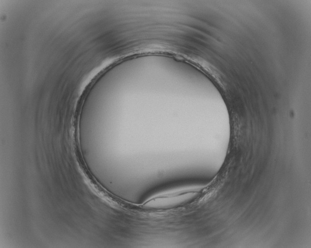 X0000076421134200610271701