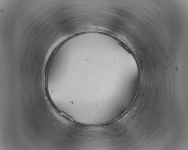 X0000076421136200610271701