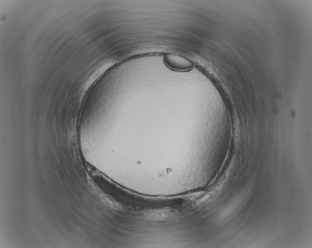 X0000076421137200610271701