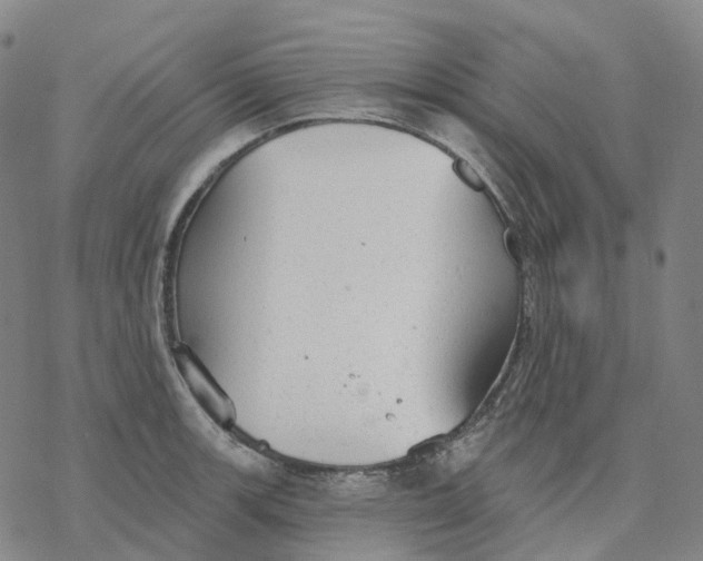 X0000076421139200610271701