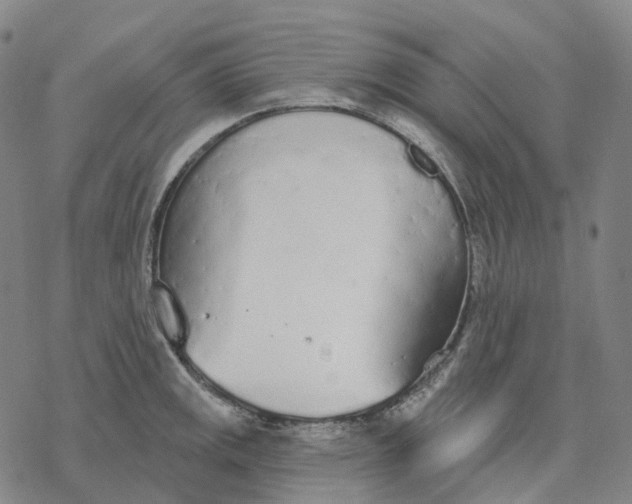 X0000076421141200610271701