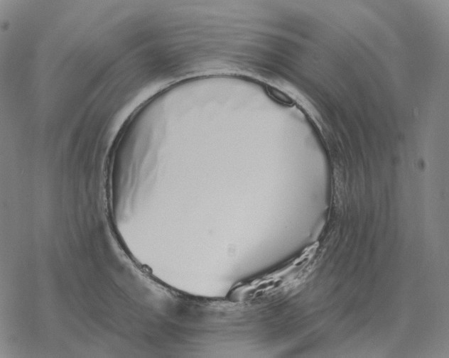 X0000076421142200610271701