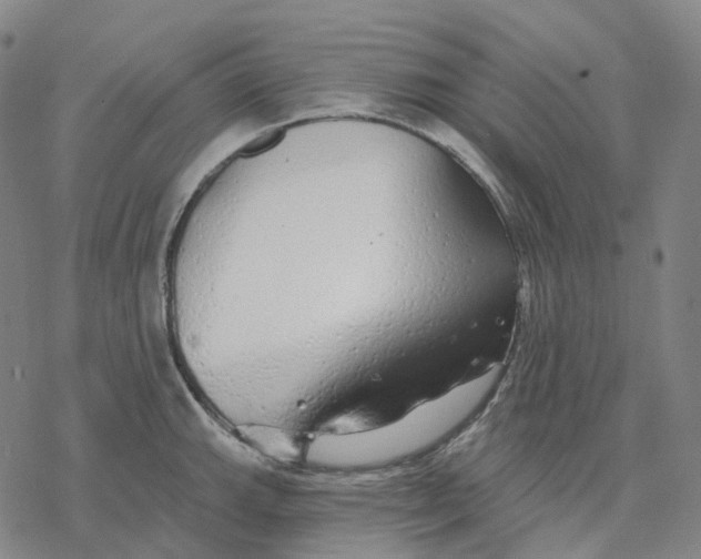 X0000076421143200610271701