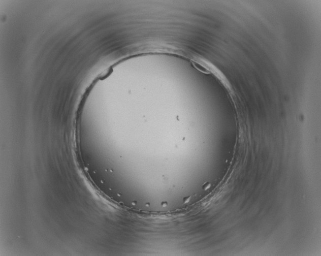 X0000076421144200610271701