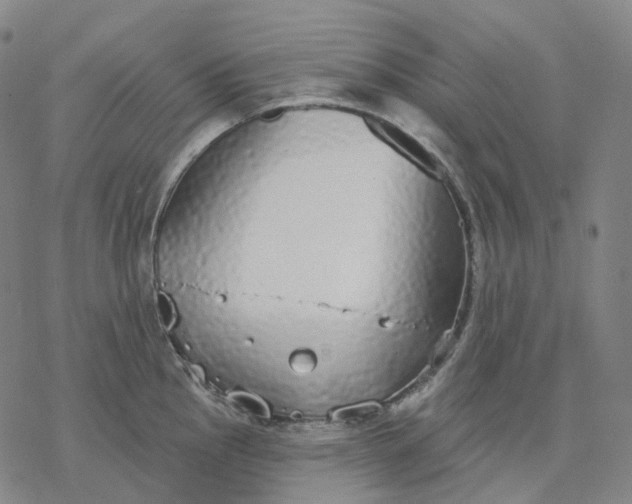 X0000076421145200610271701