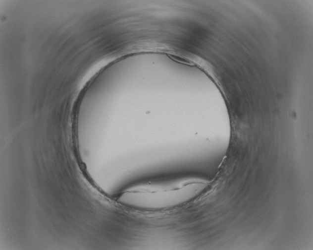 X0000076421147200610271701