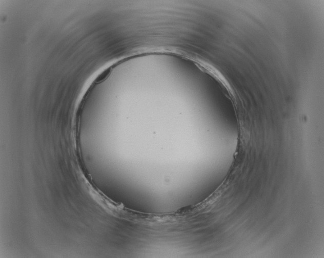 X0000076421148200610271701