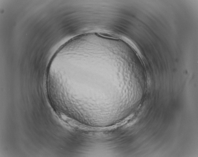 X0000076421149200610271702