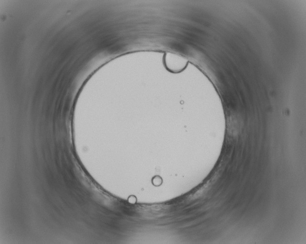 X0000076421150200610271702