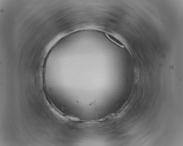 X0000076421151200610271702