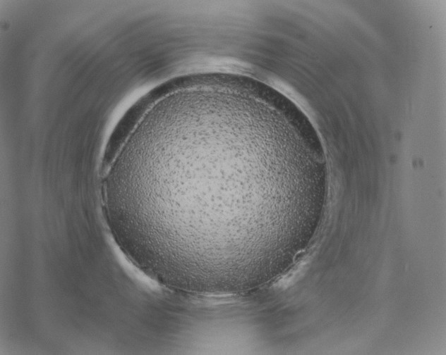 X0000076421152200610271702