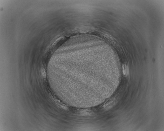 X0000076421155200610271701