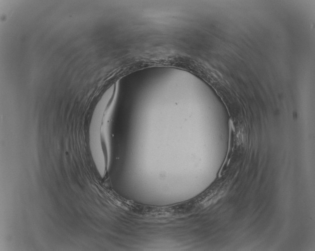 X0000076421156200610271701