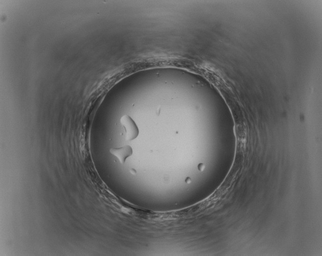 X0000076421157200610271701