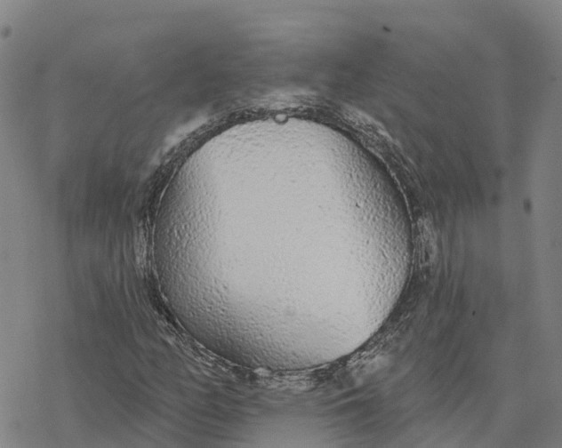 X0000076421158200610271701