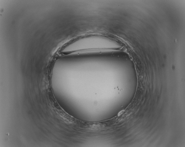 X0000076421160200610271701